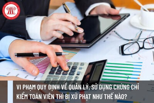 Pháp luật