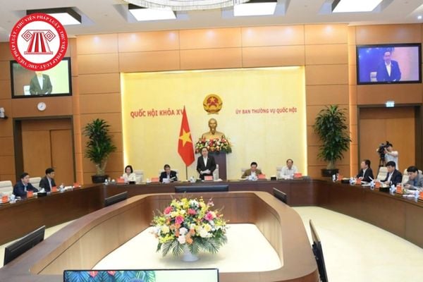 Pháp luật