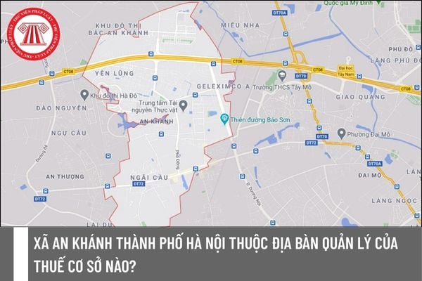 Pháp luật