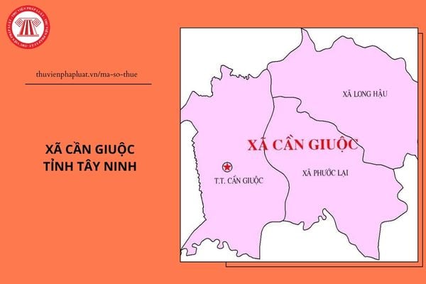 Pháp luật