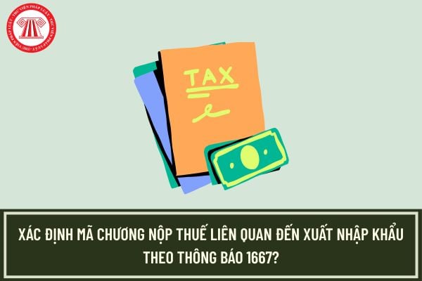 Pháp luật
