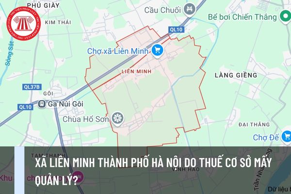 Pháp luật
