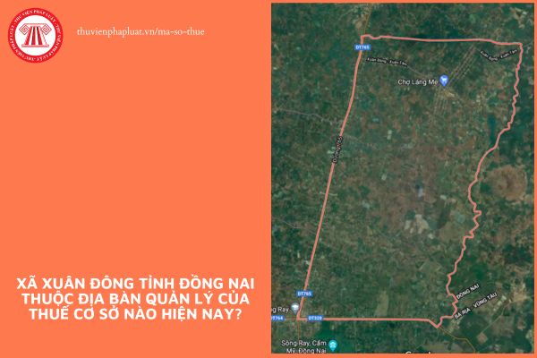 Pháp luật