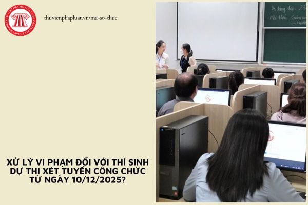 Pháp luật