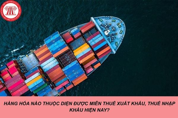 Hàng hóa nào thuộc diện được miễn thuế xuất khẩu, thuế nhập khẩu hiện nay?