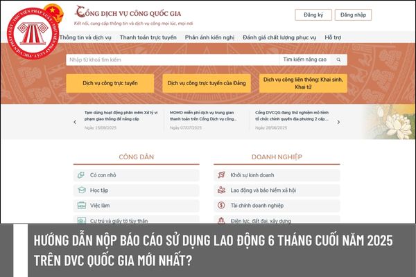 Pháp luật