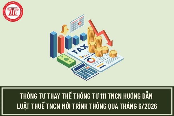Thông tư thay thế Thông tư 111 TNCN hướng dẫn Luật thuế TNCN mới trình thông qua tháng 6/2026?