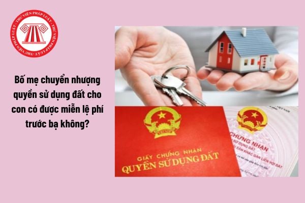 Hỏi đáp Pháp luật