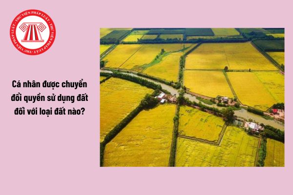 Cá nhân được chuyển đổi quyền sử dụng đất đối với loại đất nào?
