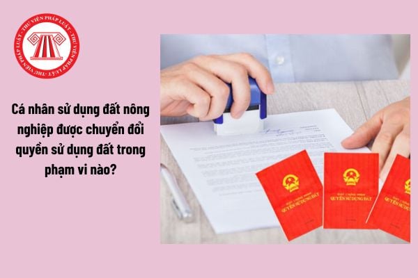 Cá nhân sử dụng đất nông nghiệp được chuyển đổi quyền sử dụng đất trong phạm vi nào?
