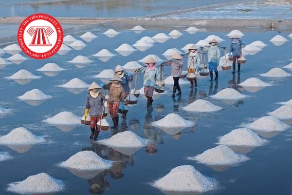 Hỏi đáp Pháp luật
