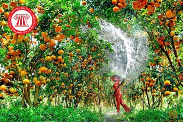 Pháp Luật Nhà Đất