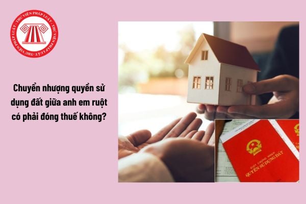 Hỏi đáp Pháp luật
