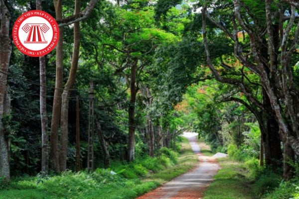 Hỏi đáp Pháp luật
