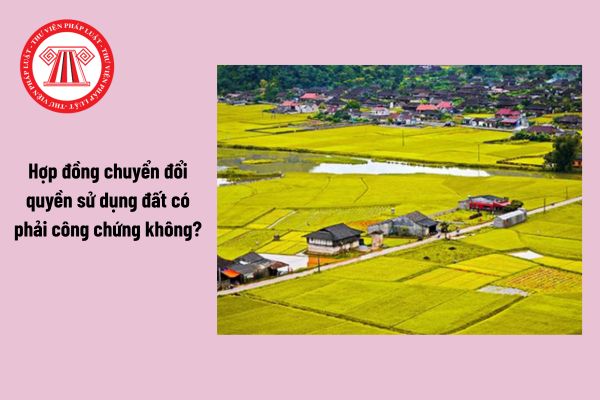 Hỏi đáp Pháp luật
