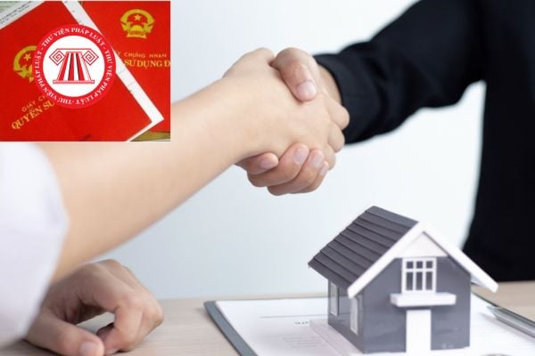 Hỏi đáp Pháp luật