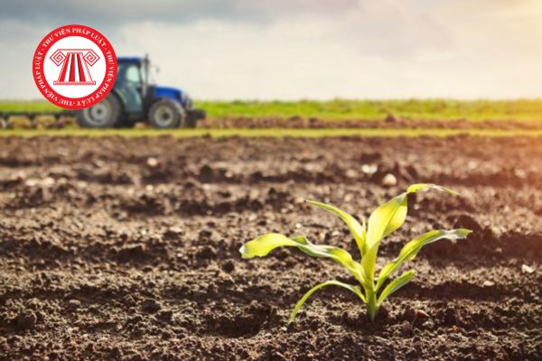 Tải về Tờ khai thuế sử dụng đất nông nghiệp mới nhất năm 2025?