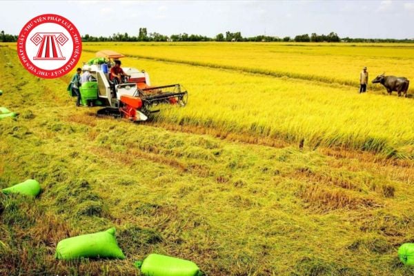 Pháp Luật Nhà Đất