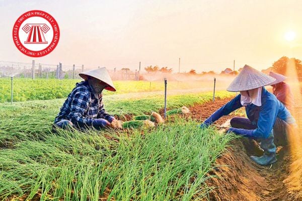 Hỏi đáp Pháp luật
