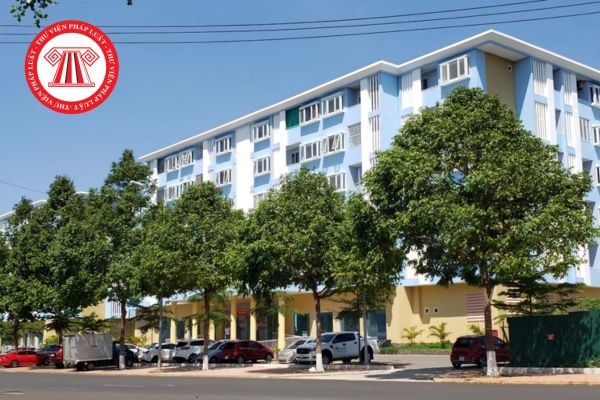 Hỏi đáp Pháp luật