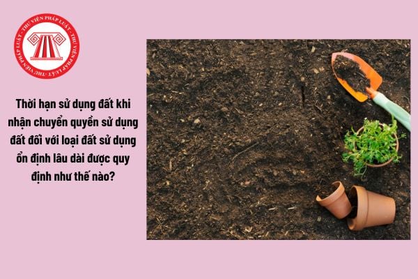 Thời hạn sử dụng đất khi nhận chuyển quyền sử dụng đất đối với loại đất sử dụng ổn định lâu dài được quy định như thế nào?