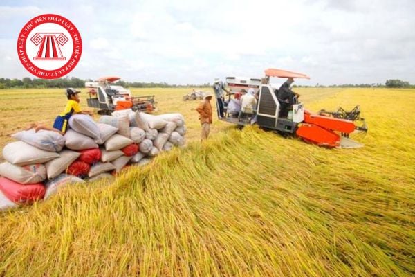 Hỏi đáp Pháp luật