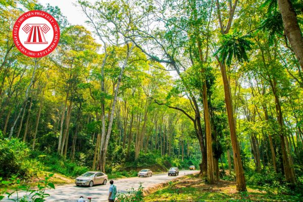 Hỏi đáp Pháp luật