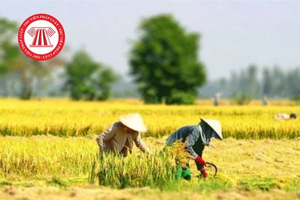 Hỏi đáp Pháp luật