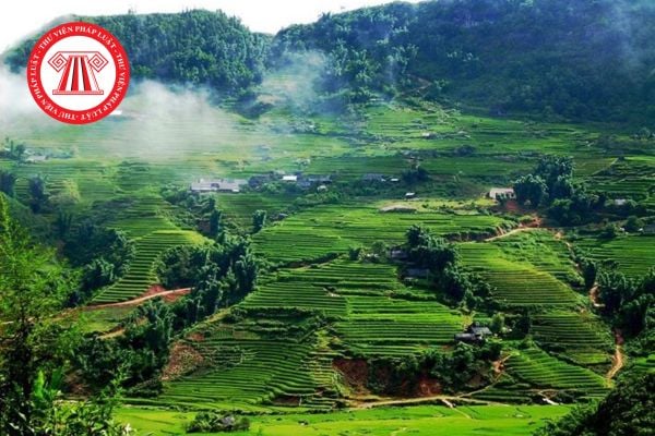 Pháp Luật Nhà Đất
