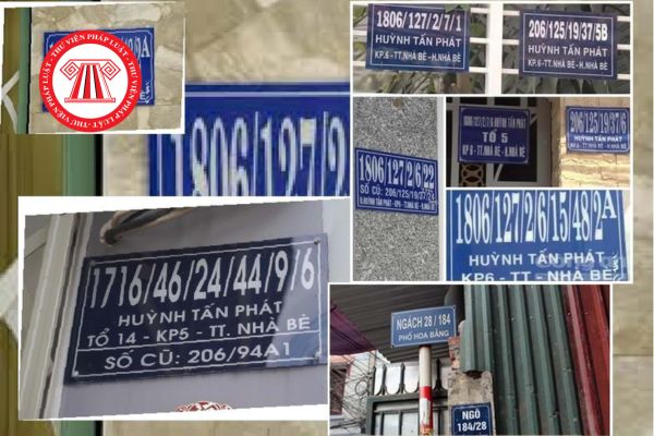 Hỏi đáp Pháp luật