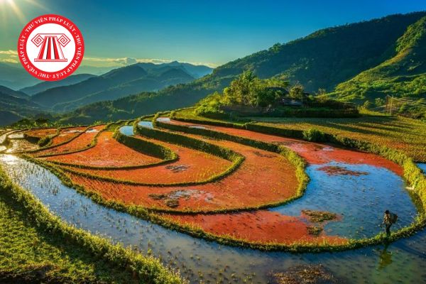 Pháp Luật Nhà Đất