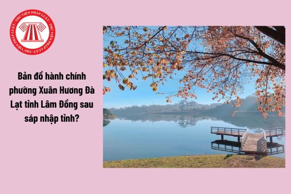 Hỏi đáp Pháp luật
