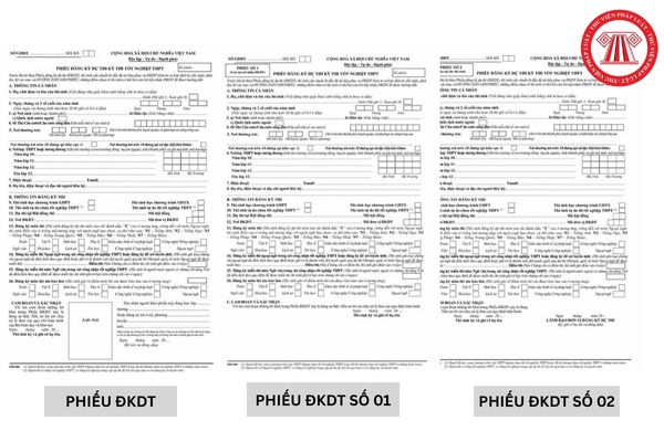 Hỏi đáp Pháp luật