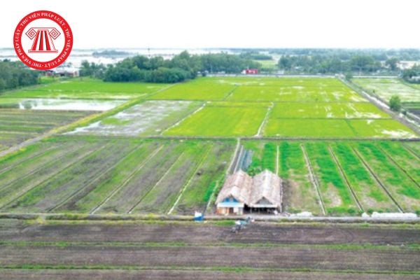 Mẫu đơn xin giao đất mới nhất 2025? Giao đất không thu tiền sử dụng đất quy định như thế nào?