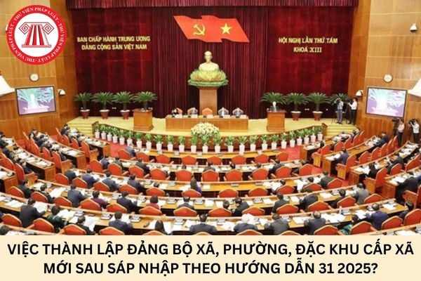 Hỏi đáp Pháp luật