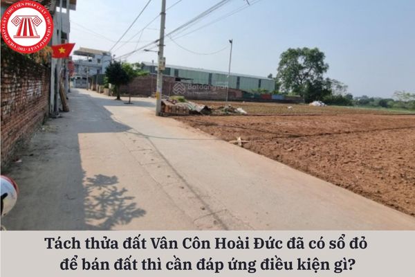 Pháp Luật Nhà Đất