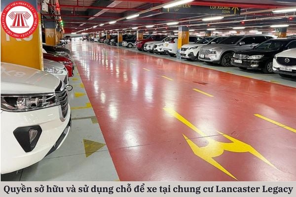 Pháp Luật Nhà Đất