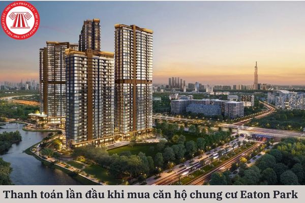 Pháp Luật Nhà Đất