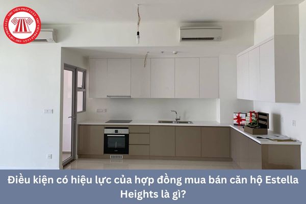 Pháp Luật Nhà Đất