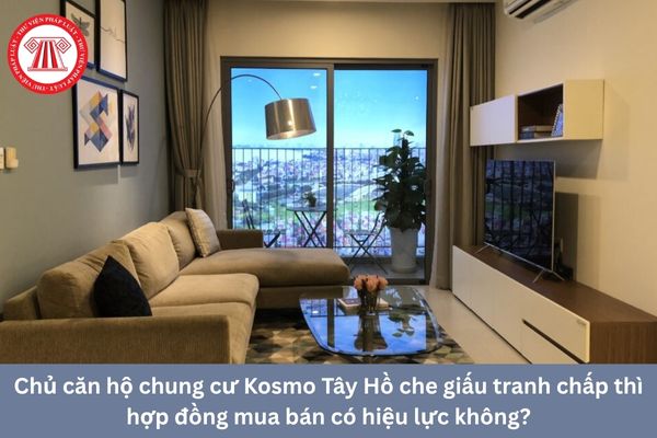 Pháp Luật Nhà Đất