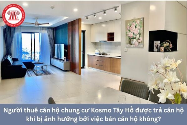 Pháp Luật Nhà Đất