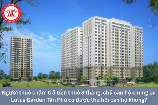 Pháp Luật Nhà Đất