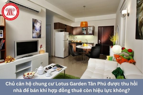 Pháp Luật Nhà Đất