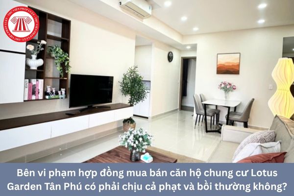 Pháp Luật Nhà Đất
