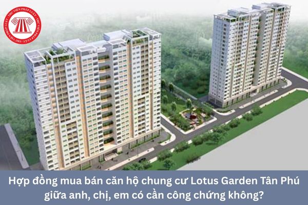Pháp Luật Nhà Đất