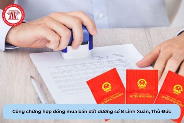 Pháp Luật Nhà Đất
