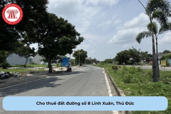 Pháp Luật Nhà Đất