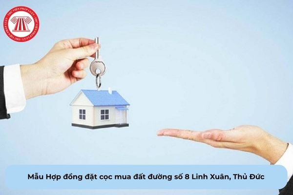 Pháp Luật Nhà Đất