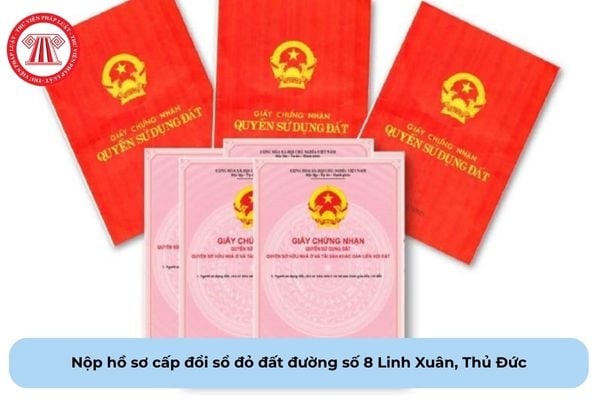 Pháp Luật Nhà Đất