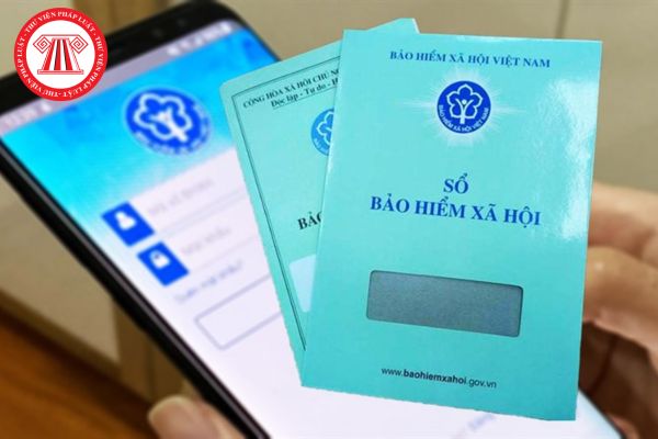 Pháp Luật Nhà Đất